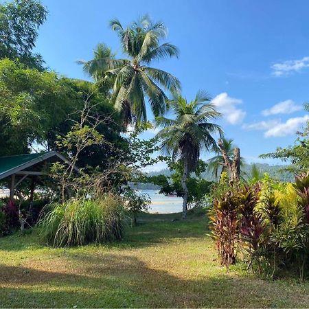 Port Barton - Paradiso Azul Campsite Beachfront With Internet San Vicente  Exterior foto