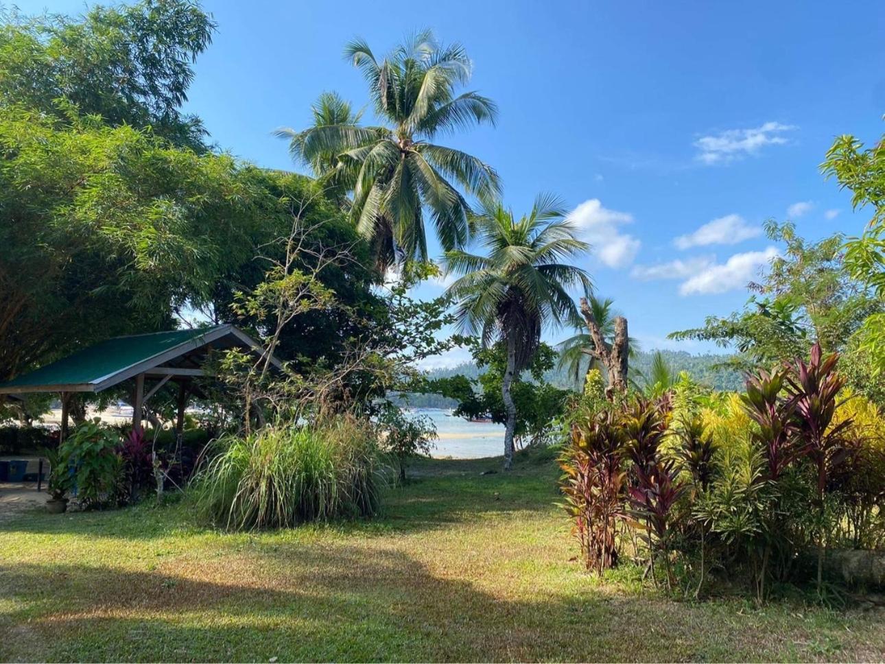 Port Barton - Paradiso Azul Campsite Beachfront With Internet San Vicente  Exterior foto