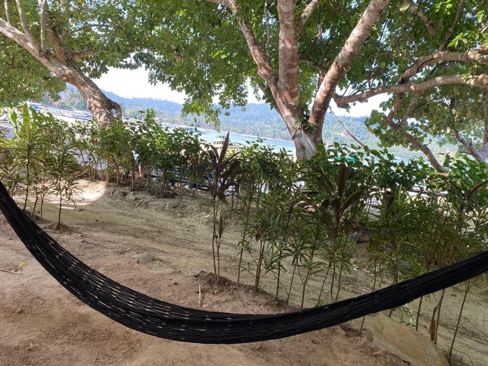 Port Barton - Paradiso Azul Campsite Beachfront With Internet San Vicente  Exterior foto